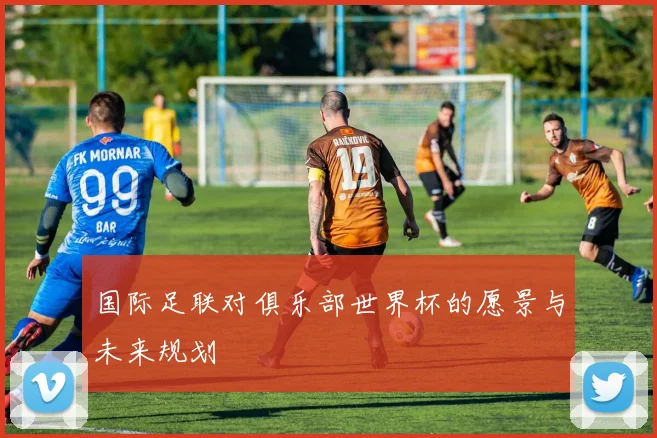 国际足联对俱乐部世界杯的愿景与未来规划