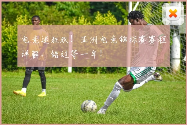 电竞迷狂欢!亚洲电竞锦标赛赛程详解,错过等一年!